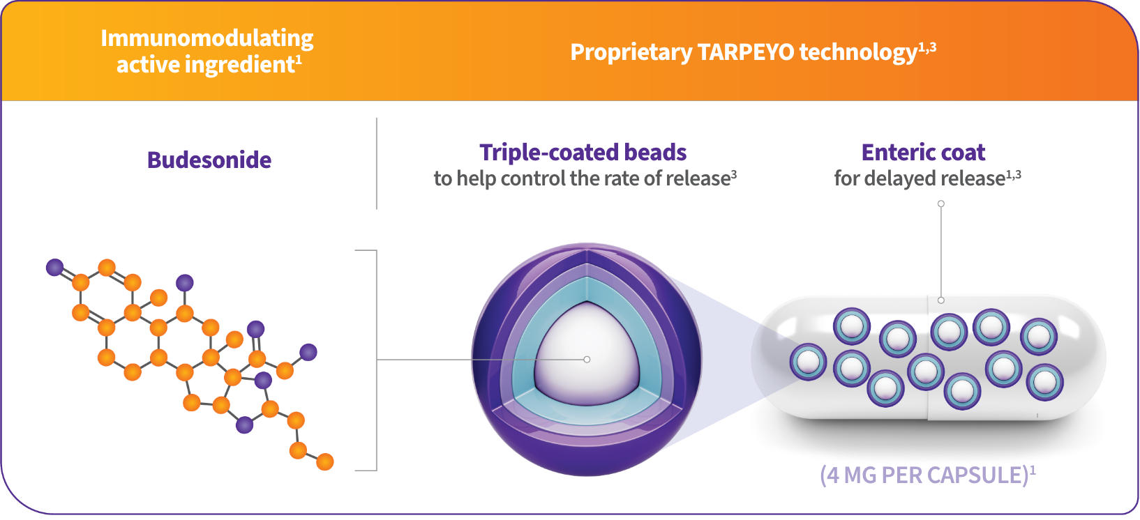 The chart describes the delayed-release technology of Tarpeyo and their coats