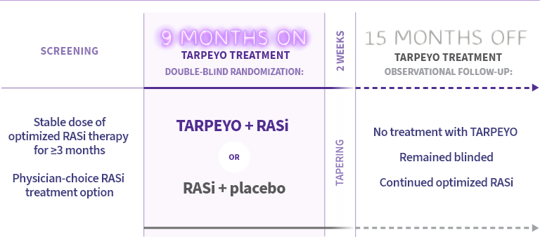 This diagram outlines the study design. The study includes a screening phase, 9 months on TARPEYO treatment, and a 15-month observational follow-up off TARPEYO treatment. During screening, patients receive optimized RASi therapy for at least 3 months. Patients are then randomized into two groups: TARPEYO + RASi (purple arrow) or RASi + placebo (grey arrow) for 9 months. Following treatment, there is a 15-month follow-up where patients receive no TARPEYO treatment but continue optimized RASi therapy.