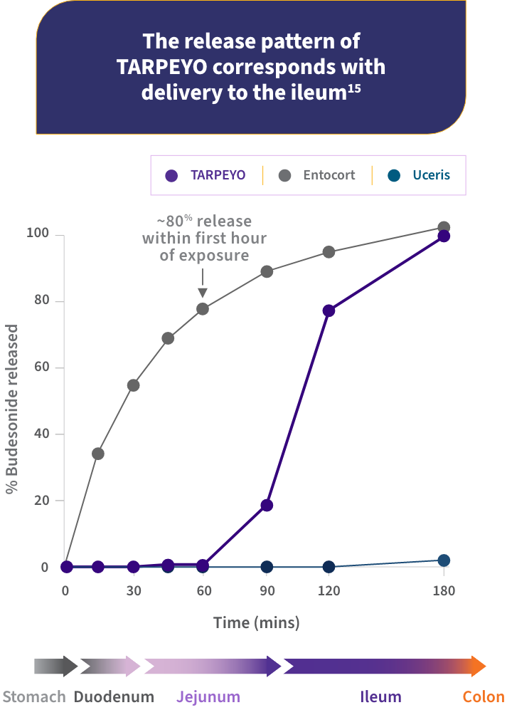 Graph showing dissolution rates of TARPEYO, Entocort, and Uceris over 180 minutes. TARPEYO shows delayed release, reaching ~80% at 180 minutes, compared to faster release in Entocort and Uceris.