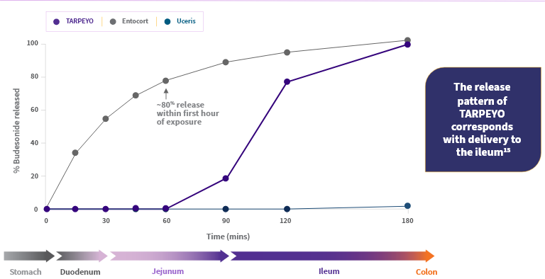 Graph showing dissolution rates of TARPEYO, Entocort, and Uceris over 180 minutes. TARPEYO shows delayed release, reaching ~80% at 180 minutes, compared to faster release in Entocort and Uceris.