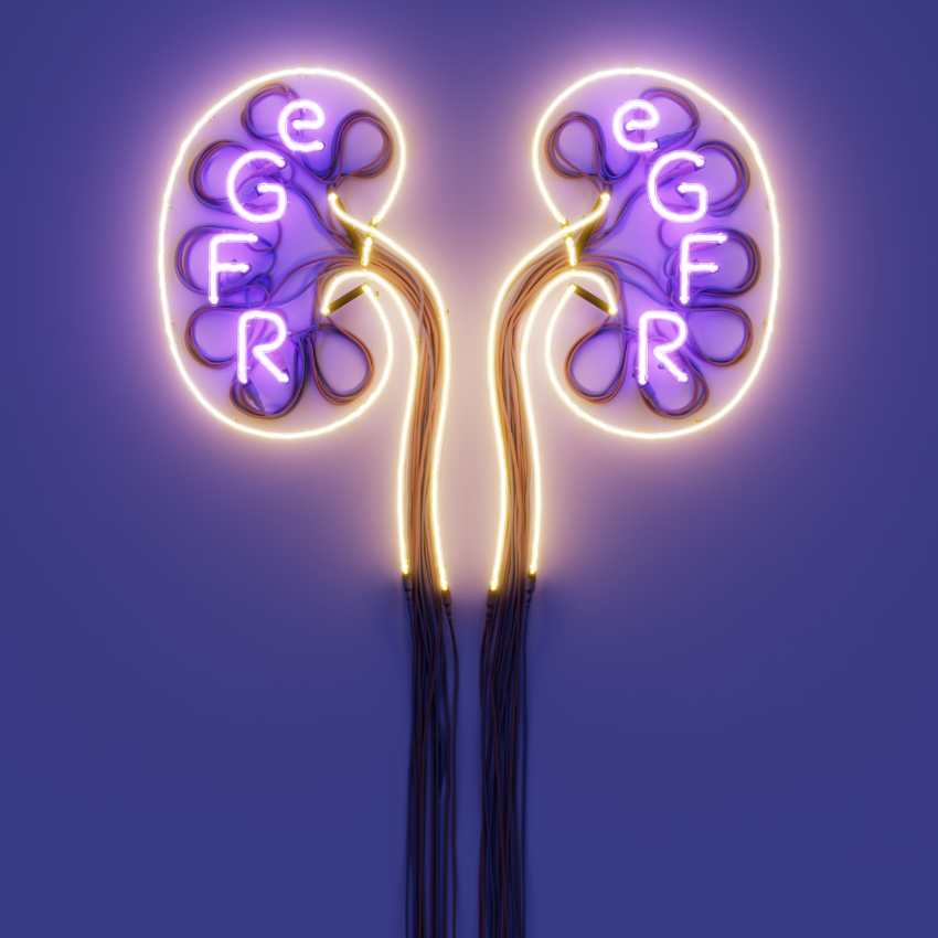 Image shows a stylized representation of two kidneys. Each kidney has the letters &quot;eGFR&quot; displayed within, with a glowing effect highlighting the importance of estimated glomerular filtration rate (eGFR) in kidney function. The background is purple, enhancing the focus on the kidneys and the eGFR lettering.