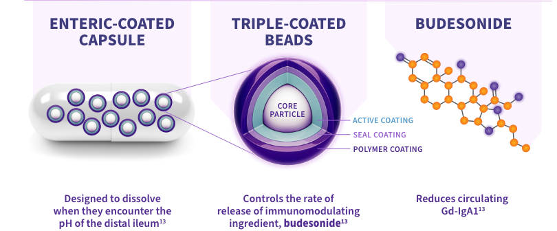 A graphic illustrating the proprietary TARPEYO technology and its components: On the left, it shows the immunomodulating active ingredient, Budesonide, with its molecular structure depicted. In the center, it highlights the triple-coated beads designed to help control the rate of release. On the right, it shows the enteric coat for delayed release, with an illustration of a capsule containing these beads (4 mg per capsule).