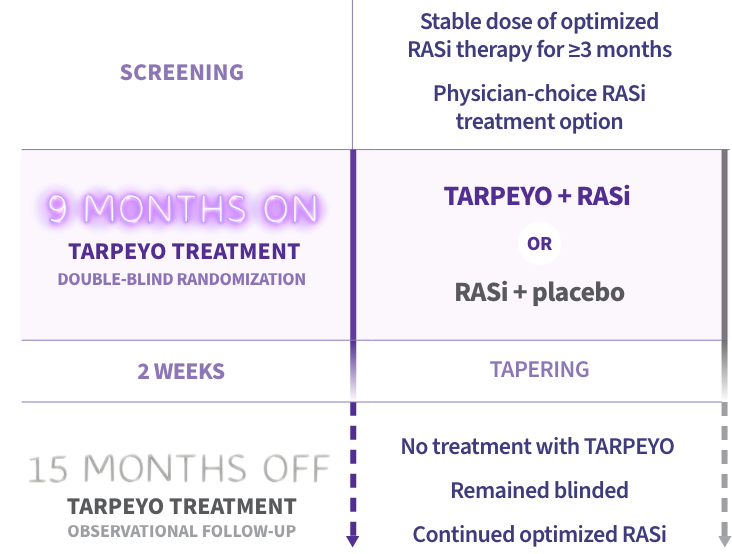 This diagram outlines the study design. The study includes a screening phase, 9 months on TARPEYO treatment, and a 15-month observational follow-up off TARPEYO treatment. During screening, patients receive optimized RASi therapy for at least 3 months. Patients are then randomized into two groups: TARPEYO + RASi (purple arrow) or RASi + placebo (grey arrow) for 9 months. Following treatment, there is a 15-month follow-up where patients receive no TARPEYO treatment but continue optimized RASi therapy.