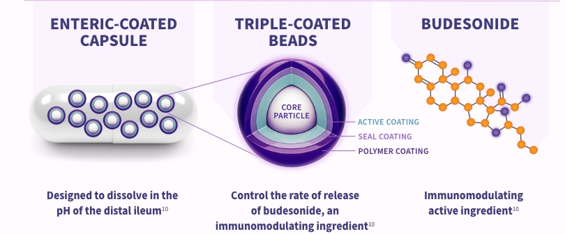 A graphic illustrating the proprietary TARPEYO technology and its components: On the left, it shows the immunomodulating active ingredient, Budesonide, with its molecular structure depicted. In the center, it highlights the triple-coated beads designed to help control the rate of release. On the right, it shows the enteric coat for delayed release, with an illustration of a capsule containing these beads (4 mg per capsule).